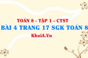 Bài 4 trang 17 SGK Toán 8 Tập 1 Chân trời sáng tạo